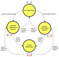 Thumbnail for version as of 18:49, 11 September 2008