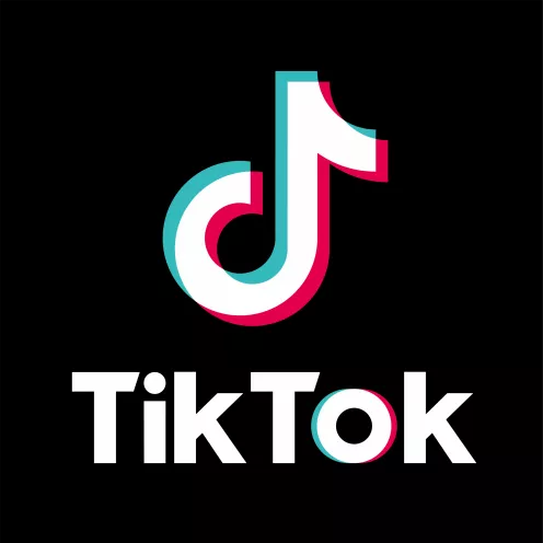 One Year Later: Experts Reflect on TikTok Divest-or-Ban Order