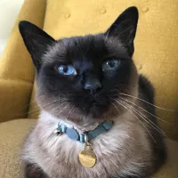 Nancy
